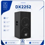 باند پسیو اکو چنگ دبل مدل DX2252 - اینفوگرافیک