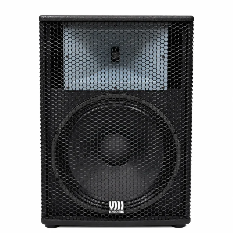 باند اکوچنگ HD15 PRO با ووفر 15 اینچ و توان 750 وات RMS