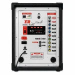 پنل کنترل اکو همراه شارژی روژان RJ-120U با ورودی میکروفن
