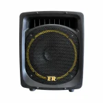 اکو همراه شارژی روژان RJ-200 نمای جلو با بلندگوی 12 اینچ