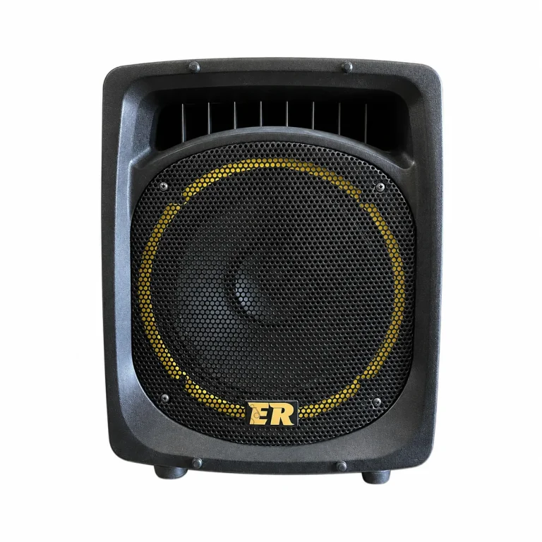 اکو همراه شارژی روژان RJ-200 نمای جلو با بلندگوی 12 اینچ