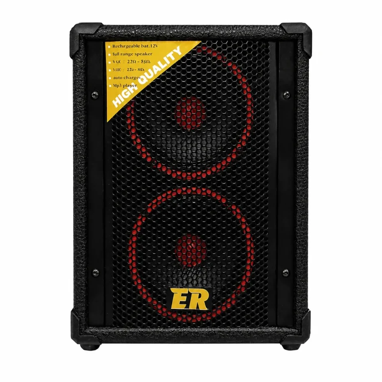 کو پرتابل شارژی روژان RJ-60U نمای جلو با دو بلندگوی 6 اینچ